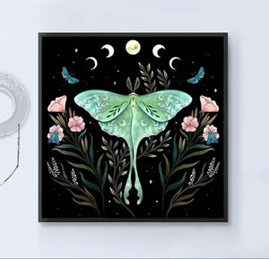 Diamond Painting | Midnight Moth