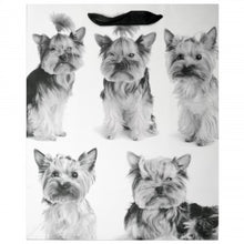 Load image into Gallery viewer, Puppies and Kittens Gift Bag - Large - Black &amp; White
