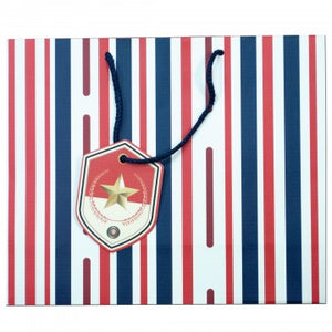 Striped Gift Bag with Star Tag - Large
