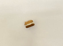 Load image into Gallery viewer, Dog Treat | Caramel Bite Cookie | Wheat, Corn, And Soy Free Designer Dog Treat
