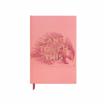 Load image into Gallery viewer, Notebook | Vintage Sass Journal | &quot;Can’t Touch This&quot; | Dusty Pink Hard Cover Soft Touch Journal
