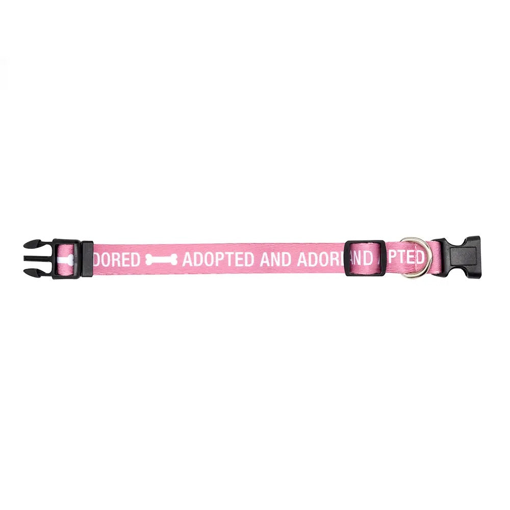 Adopted Dog Collar S/M