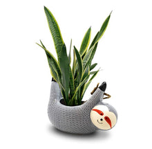Load image into Gallery viewer, Grey Hanging Sloth Planter - 8” Succulent Holder

